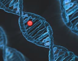 اكتشافات علمية حديثة ترسم ملامح مستقبل البشرية: من الطب الفضائي إلى أسرار الكون